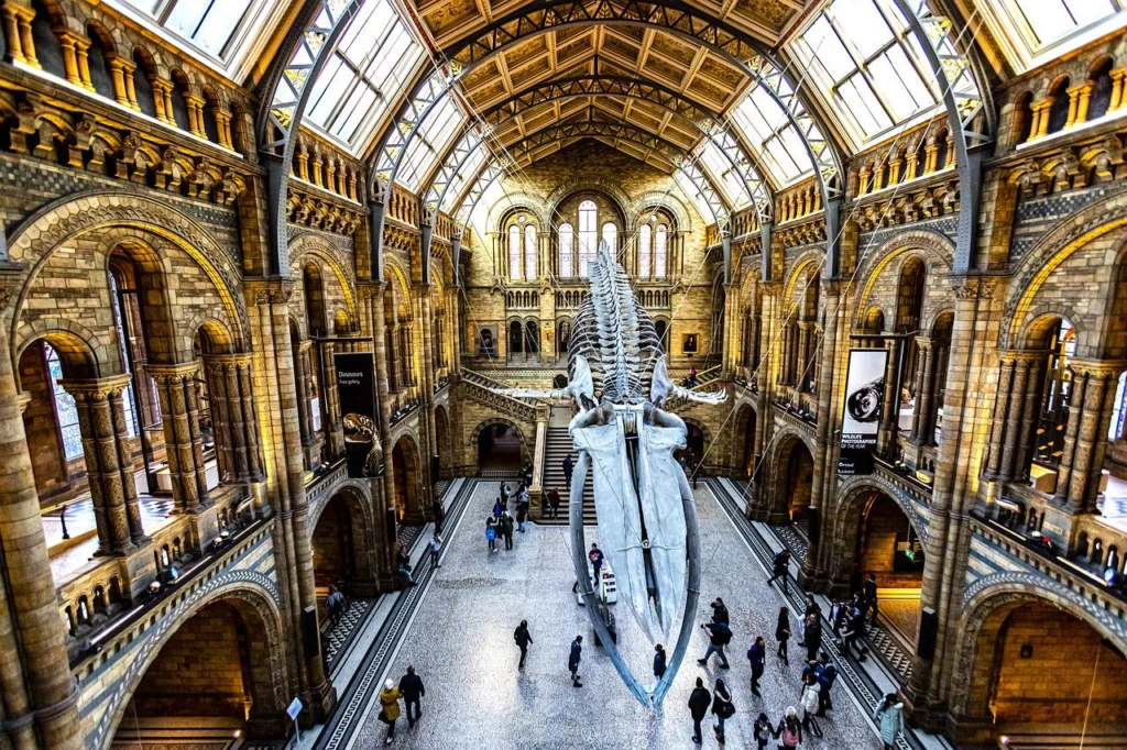 GMPV for Sustainable Development – the role of Museums and Heritage