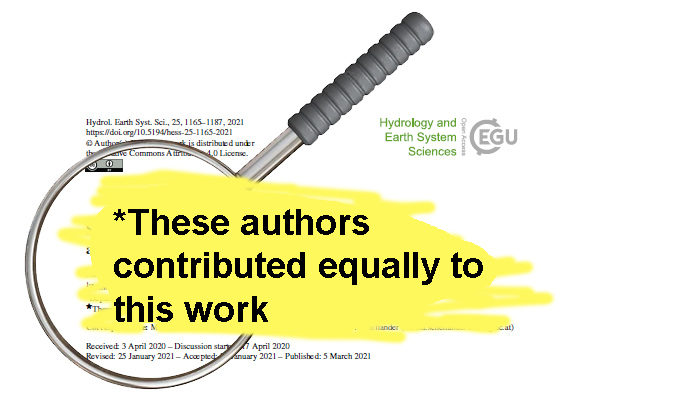 The mystery of shared first authorship