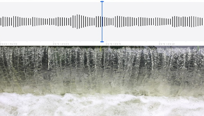 Hydrological soundscapes: listening to hydrological regimes