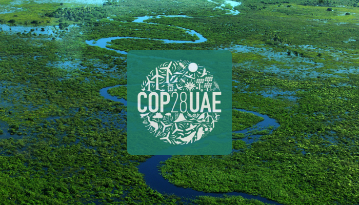 Empowering ECS Voices in Wetland Conservation: Insights from COP28