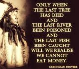 Midnight stutters of an environmentalist, an open letter to the people and places of the planet