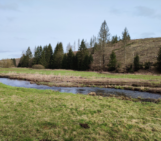 Prevent before repair: What a new hydrology-based index reveals about river ecological status