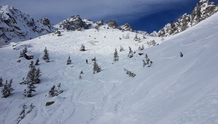 Improve your chances in hiring processes and proposal evaluations: curate your ORCID