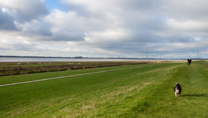 Doing flood frequency hydrology in a non-stationary climate