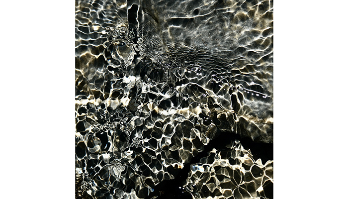 Regarding Flowing Waters – The Science and Art of Hydrology