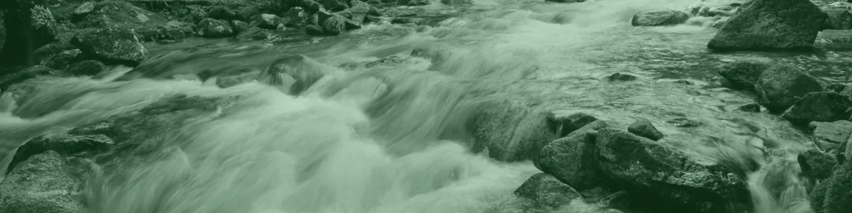 Tinted detail of a photo: Fast-flowing white water rushing over mossy boulders in a rocky stream through a tall green conifer forest.
