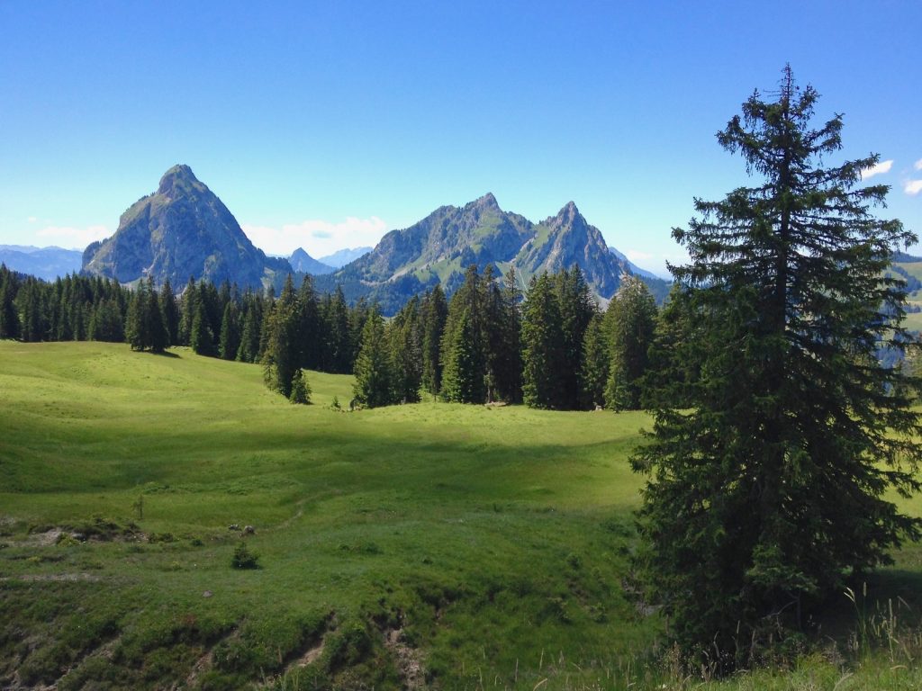 Talking hydrology: an interview with Jana von Freyberg on her work in the Rietholzbach catchment