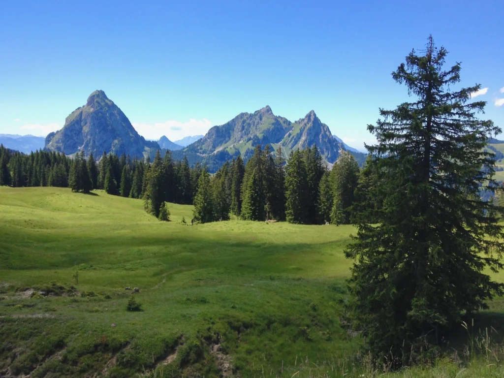 Talking hydrology: an interview with Jana von Freyberg on her work in the Rietholzbach catchment