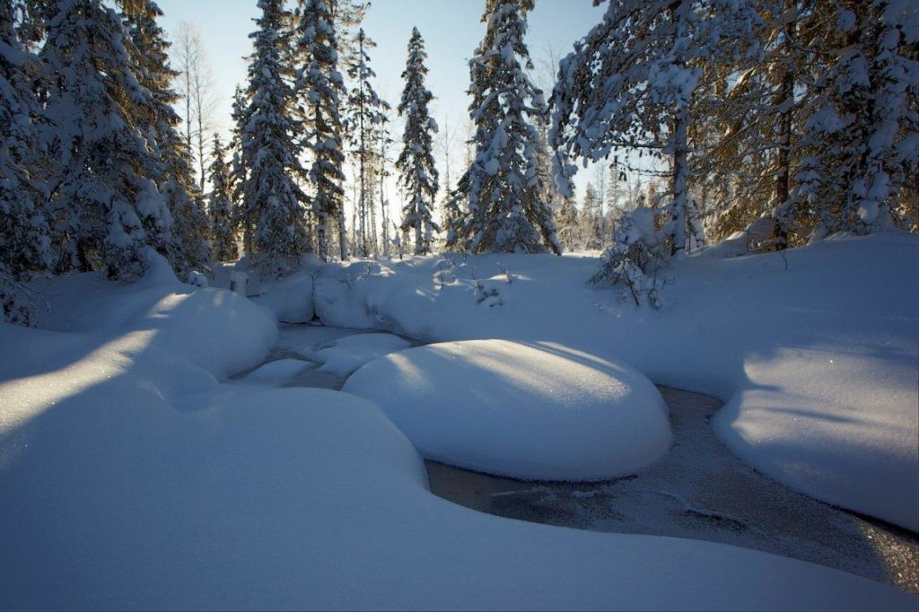 Talking hydrology: an interview with Hjalmar Laudon on hydrological research at the Krycklan catchment