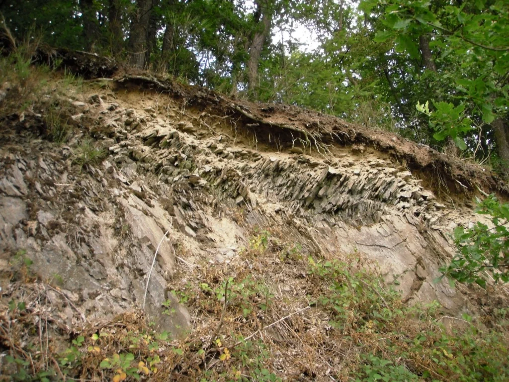 Featured Catchment: The Weierbach – Yet another temperate forested headwater?