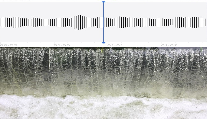 Hydrological soundscapes: listening to hydrological regimes