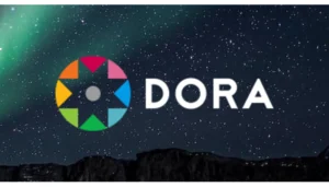 How far can we take the DORA rules?
