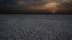 Thirsty Earth: a multiplayer online game for water resources education and research