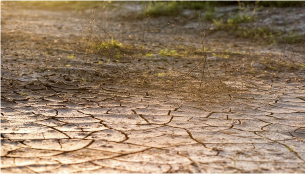 The water crisis in Bengaluru, India, and its direct link to the degradation of the city’s lake system