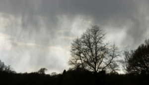 Using rainy day temperatures to predict the future of 100-year downpours