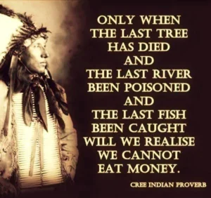 Midnight stutters of an environmentalist, an open letter to the people and places of the planet