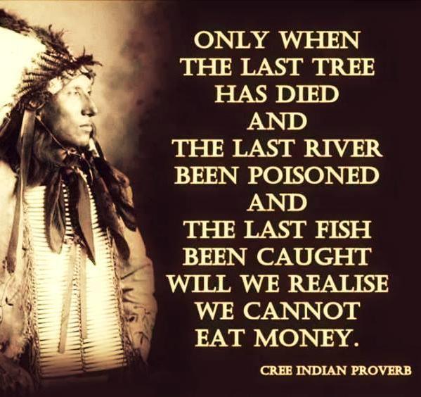 Midnight stutters of an environmentalist, an open letter to the people and places of the planet