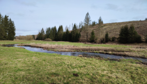 Prevent before repair: What a new hydrology-based index reveals about river ecological status