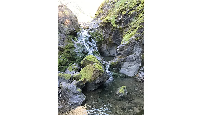 Can Machine Learning Help Us Monitor Streams?