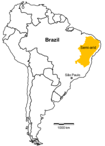 A map of south America with the northeast region of Brazil highlighted in yellow