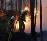 Unravelling the Complex Drivers of Wildfires in the Era of Climate Change