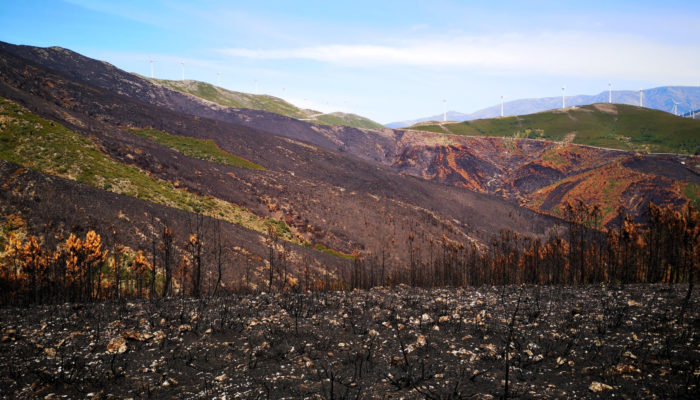 Mitigating Soil Erosion After Wildfires