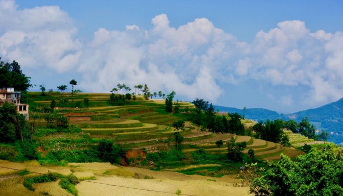 Anthropogenic changes of the landscape and natural hazards
