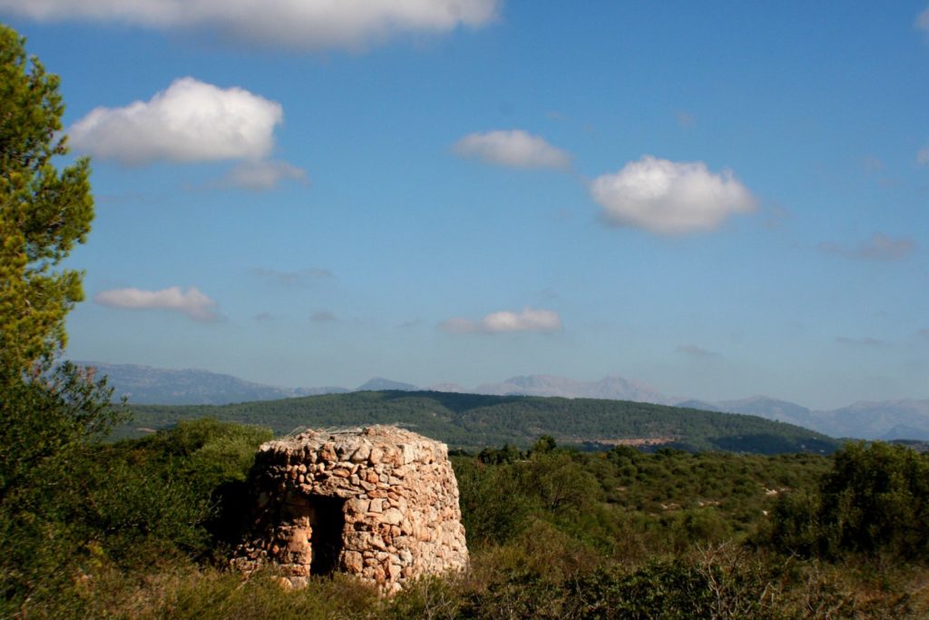 In between Natural Hazards and Heritage, interview to Maria Bostenaru