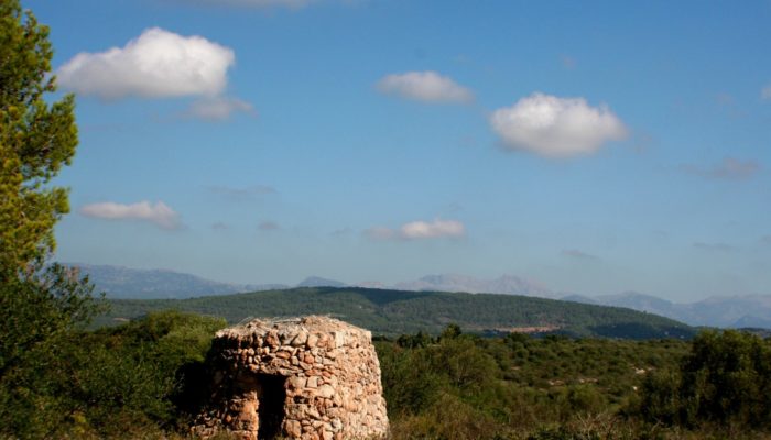 In between Natural Hazards and Heritage, interview to Maria Bostenaru