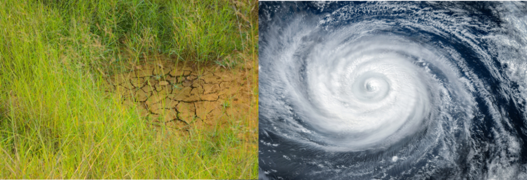 Repression Without Resistance: Answering Natural Hazards Related Disasters
