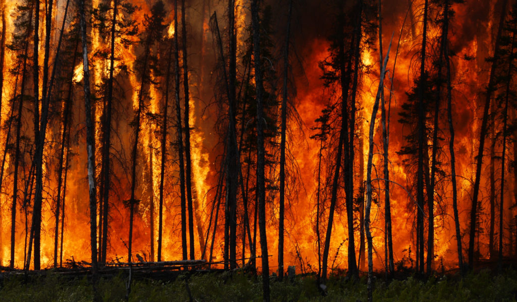 Fire impacts on Earth across space and time: a discussion-driven conference
