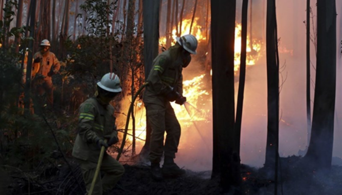 Unravelling the Complex Drivers of Wildfires in the Era of Climate Change