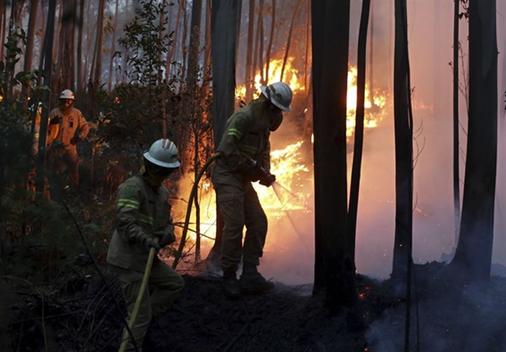 Unravelling the Complex Drivers of Wildfires in the Era of Climate Change