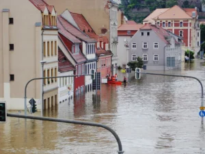 Taking the risk personally:  how perceived flood experience relates to risk perception, sensed coping appraisal, and  protective behaviour