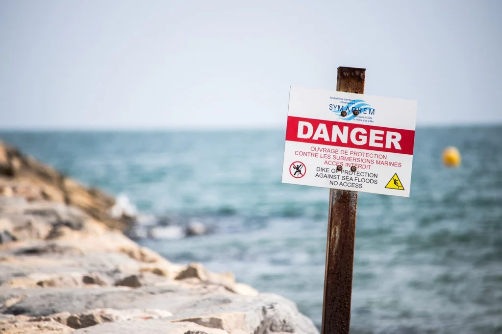Building Disaster Resilience Through Trust and Risk Awareness: Insights into Natural Hazards