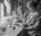 New Editorial Voices at NPG