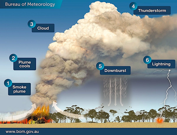 Why Bushfires raged out of control across Australia?