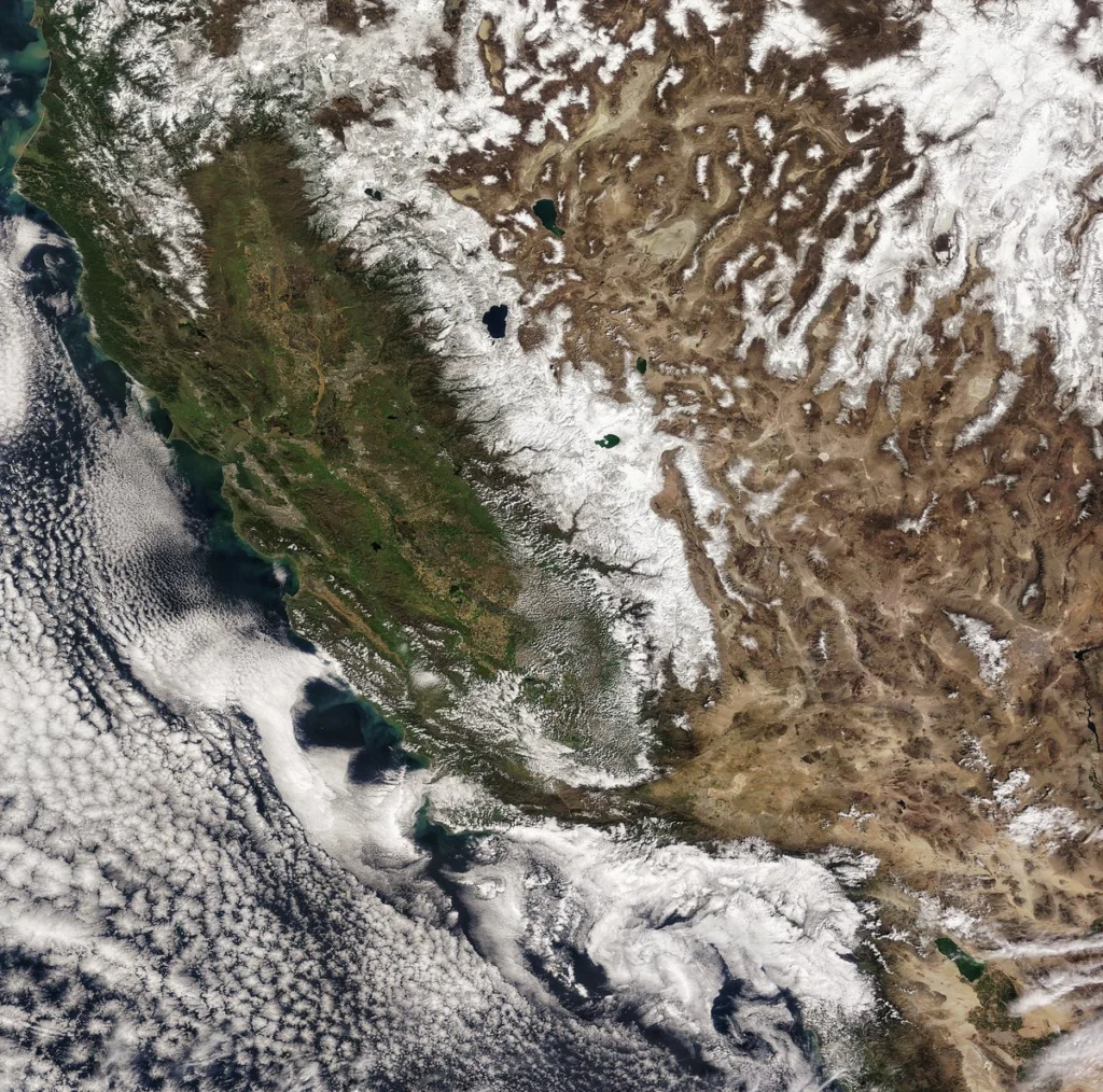 Back in Green: The Return of Pineapple Express to California