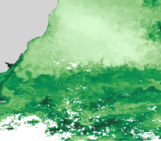 A synergy of observations: Filling the gaps in an ocean colour chlorophyll-a record