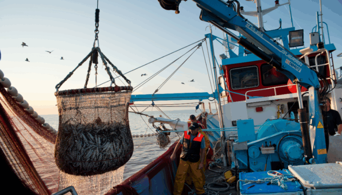 Call for input: A Fisherman’s Guide to Marine Carbon Dioxide Removal