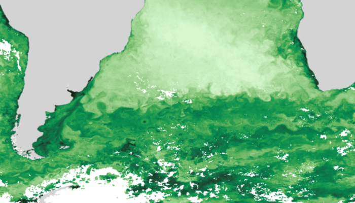 A synergy of observations: Filling the gaps in an ocean colour chlorophyll-a record