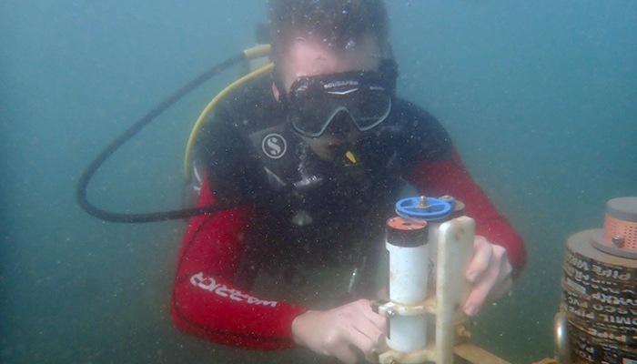 Looks can be deceiving: Why high coral cover does not always mean high reef productivity