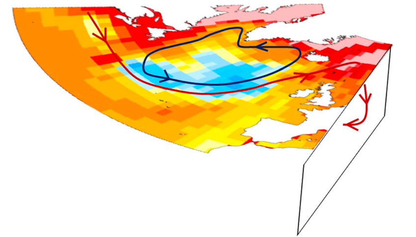 How Climate Models helped uncover the mechanisms behind the North Atlantic Warming Hole