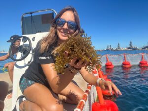 From Academic Research to Start-Up: A Marine Biologist’s Algae Farming Vision