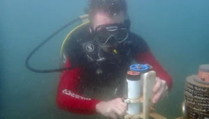 Looks can be deceiving: Why high coral cover does not always mean high reef productivity
