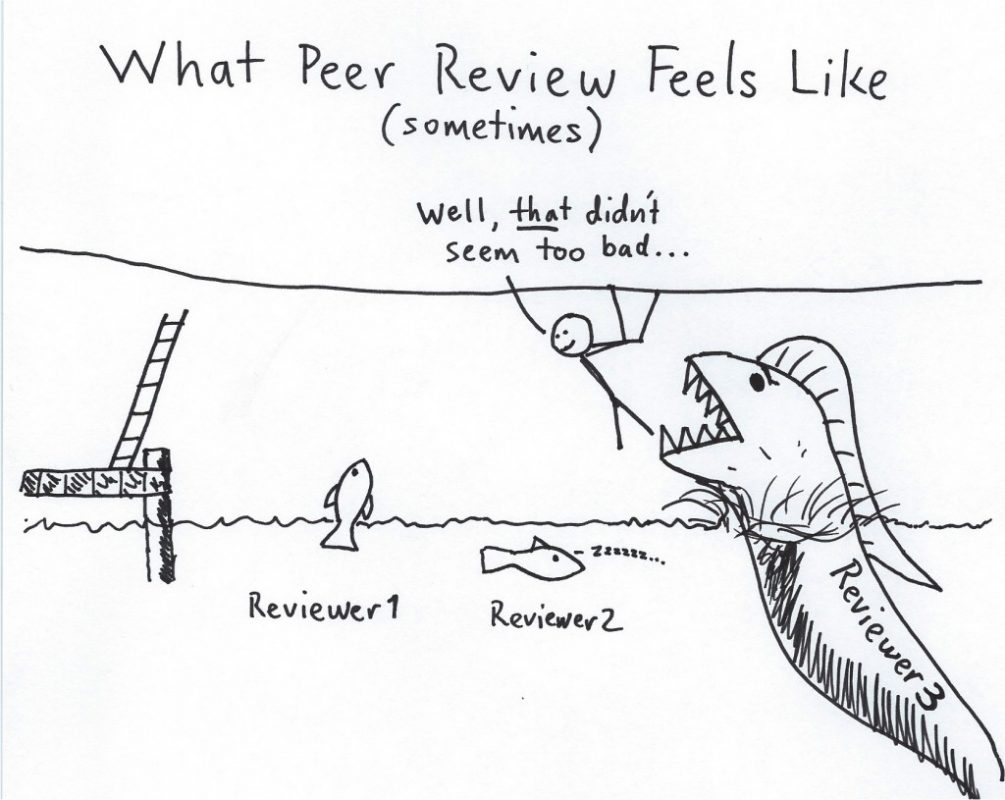 Seismology | Harsher than reviewer 2?