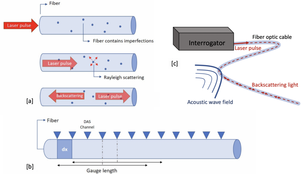 Seismology | What Is Distributed Acoustic Sensing?