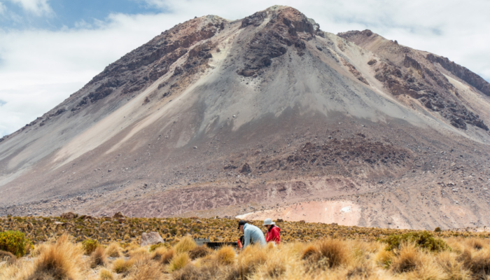 Could the Chilean Altiplano host natural hydrogen for the energy transition?
