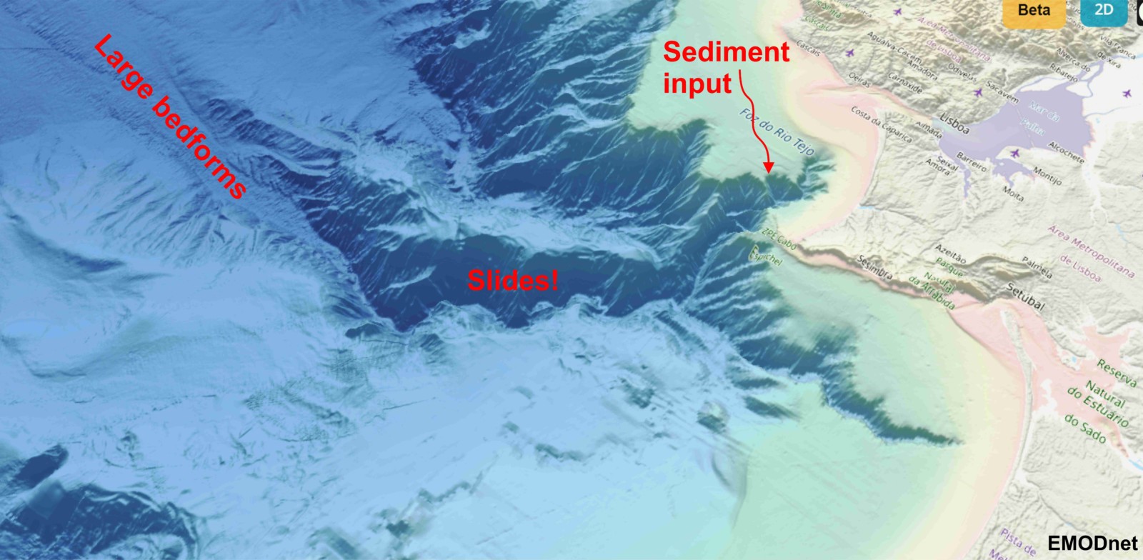 Stratigraphy, Sedimentology and Palaeontology turbidity current
