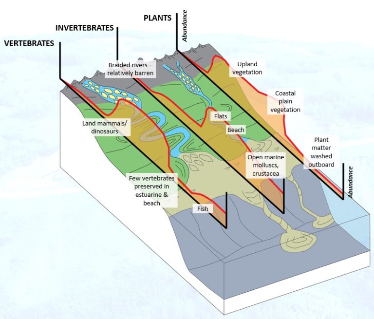 Stratigraphy, Sedimentology and Palaeontology | The Sedimentology of ...